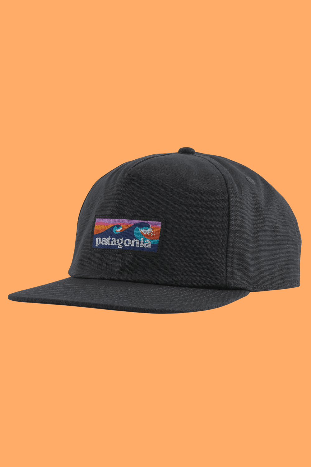 Patagonia Boardshort Label Funfarer Cap in Black