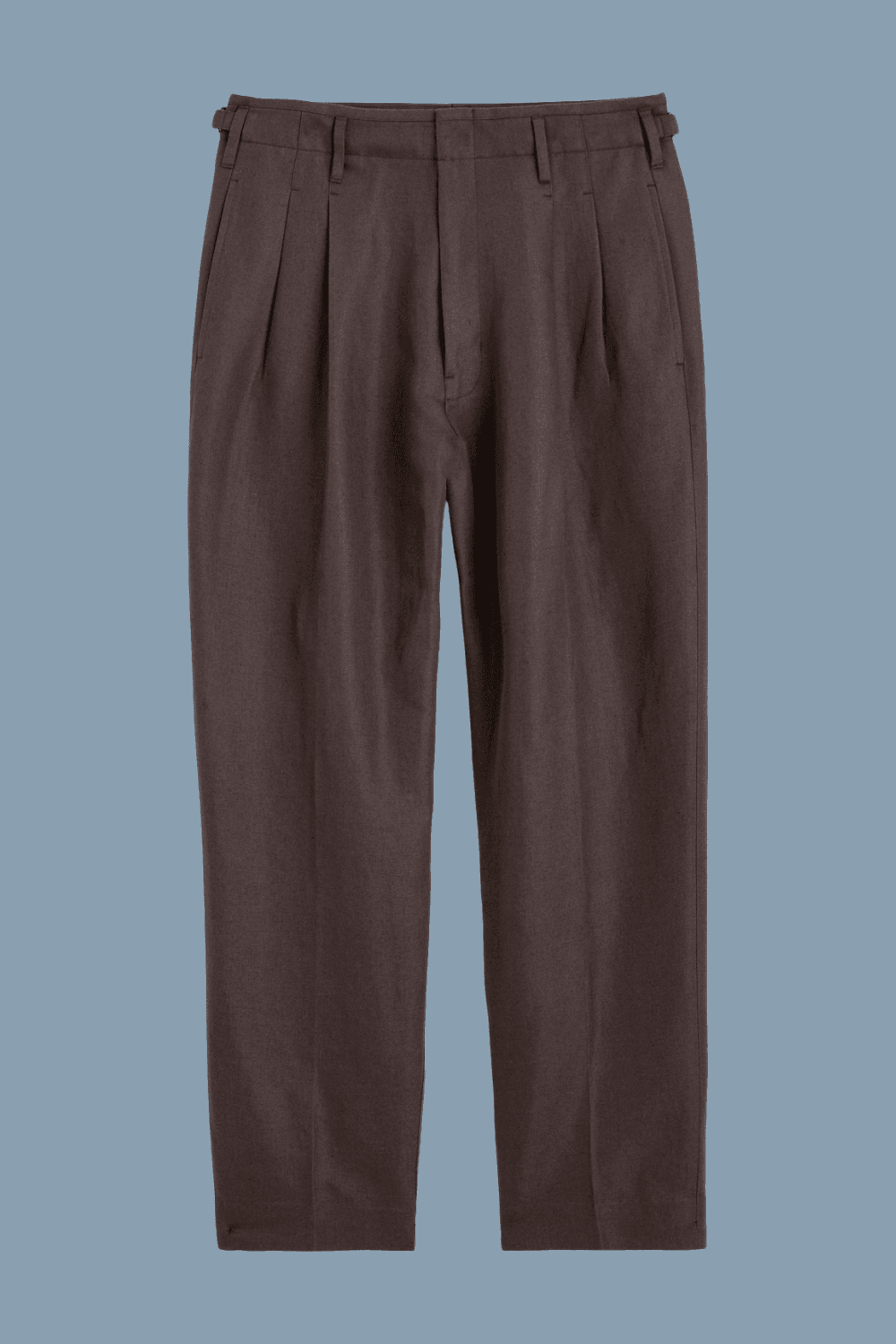 Madewell Double-Pleated Trousers in Dark Brown