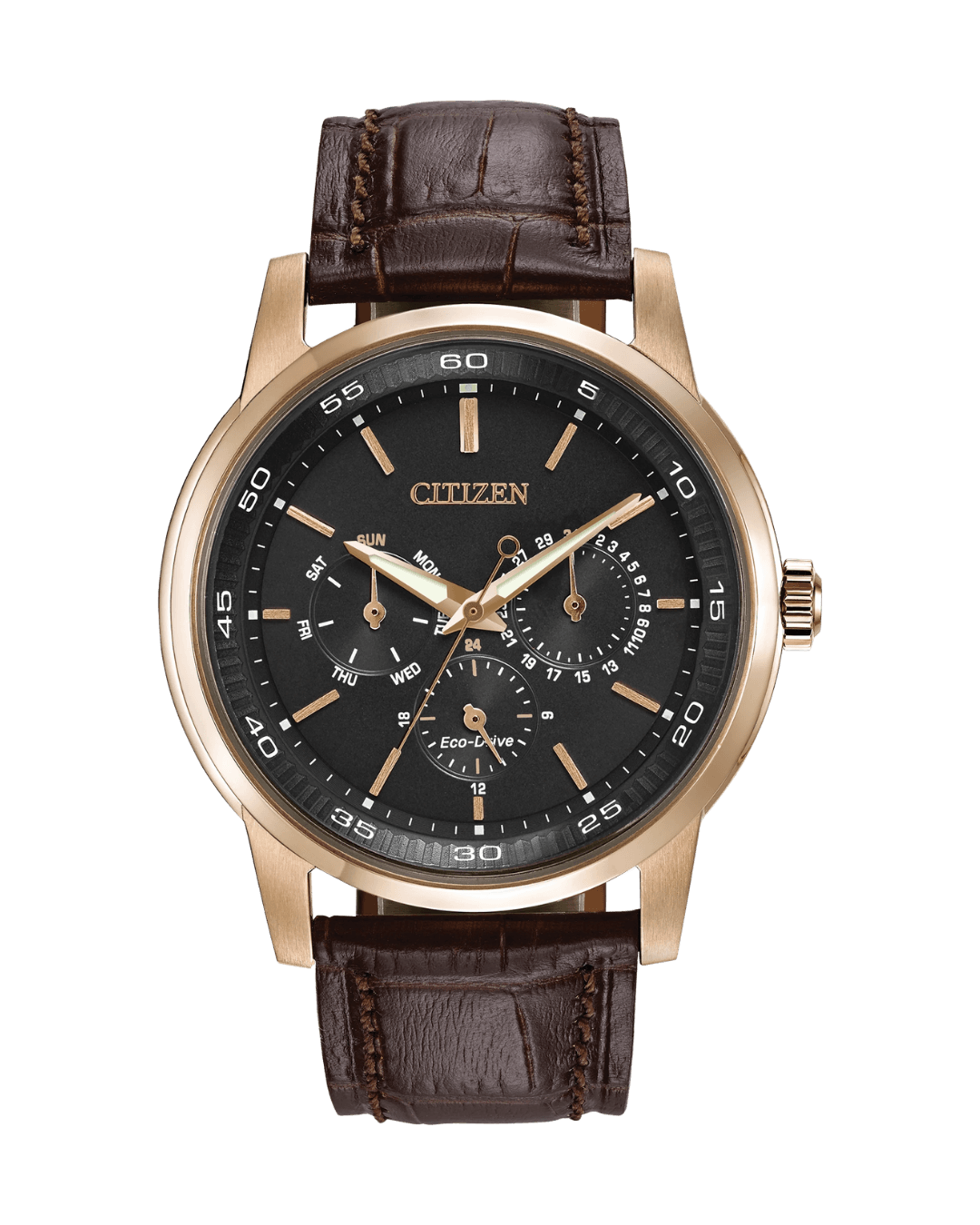 Citizen Corso Watch in Brown
