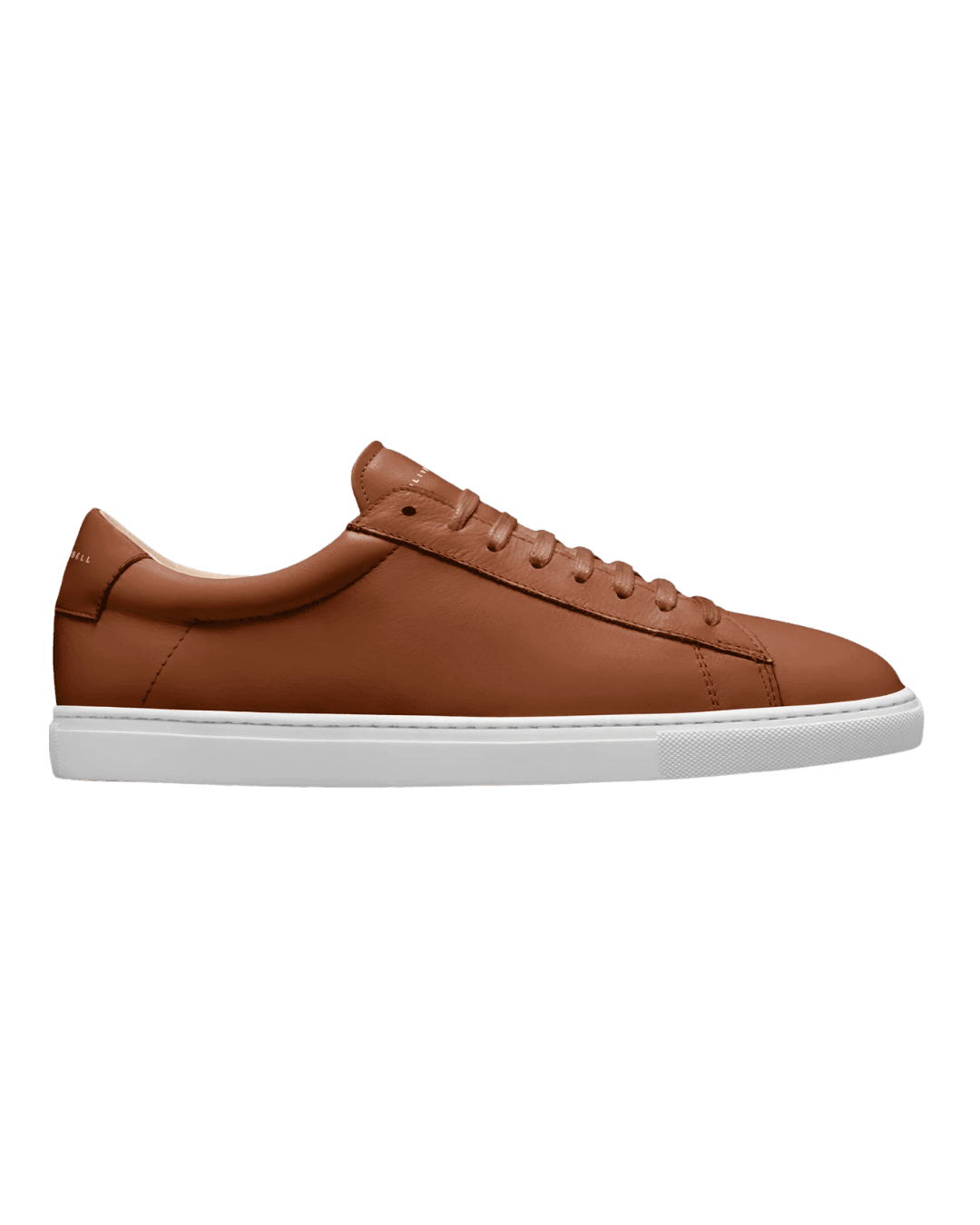 Oliver Cabell Low 1 in Lion